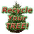 recycleChristmasTree_1