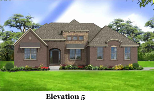 This is the image alt text