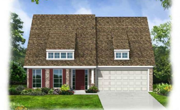 This is the image alt text