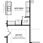 Beaufort Optional Study