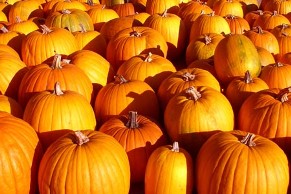 Pumpkinfest to fill downtown Franklin with spooky fun