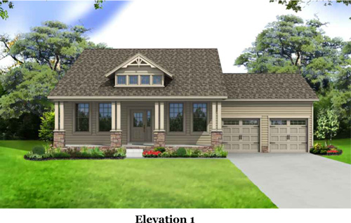 This is the image alt text