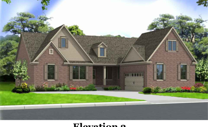 This is the image alt text