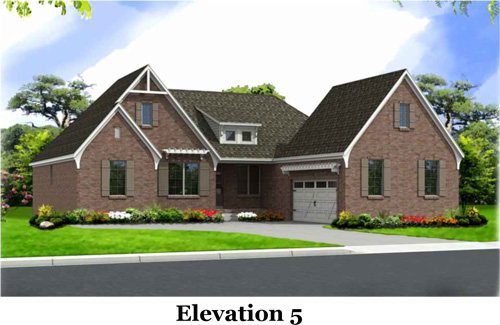 This is the image alt text