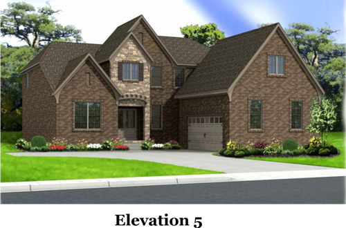 This is the image alt text