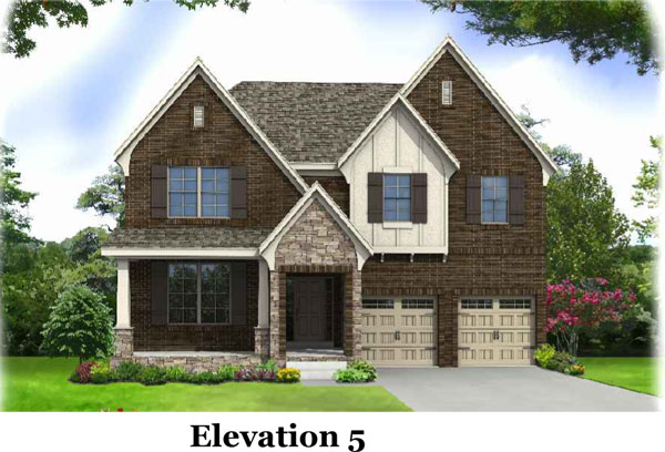 This is the image alt text