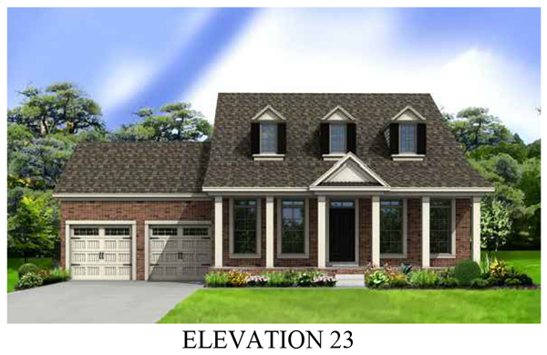 This is the image alt text